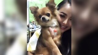 orapunfaii - BxCV1M3gc_J