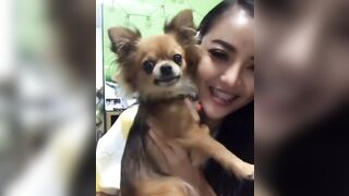 orapunfaii - BxCV1M3gc_J