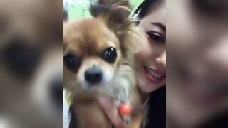 orapunfaii - BxCV1M3gc_J