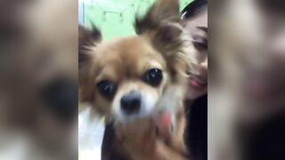 orapunfaii - BxCV1M3gc_J