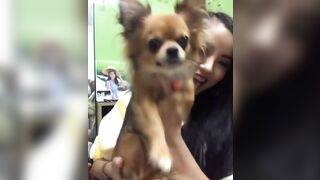 orapunfaii - BxCV1M3gc_J