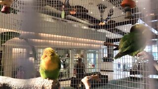 Christinakhalil (Christina Khalil) OnlyFans Leaks YouTube Lebanese-born social media influencer 26