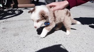 Christinakhalil (Christina Khalil) OnlyFans Leaks YouTube Lebanese-born social media influencer 53