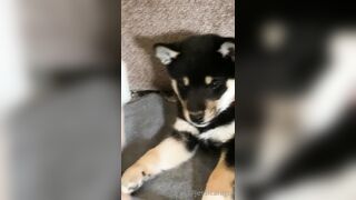 Jessicanigri (Jessica Nigri) OnlyFans Leaks jessica.jska Sexy Whore 5