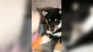 Jessicanigri (Jessica Nigri) OnlyFans Leaks jessica.jska Sexy Whore 5