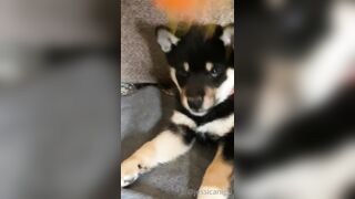 Jessicanigri (Jessica Nigri) OnlyFans Leaks jessica.jska Sexy Whore 5