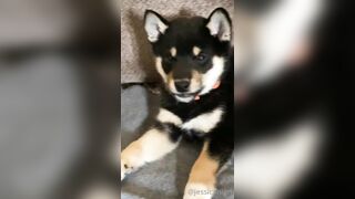 Jessicanigri (Jessica Nigri) OnlyFans Leaks jessica.jska Sexy Whore 5