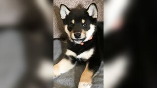 Jessicanigri (Jessica Nigri) OnlyFans Leaks jessica.jska Sexy Whore 5