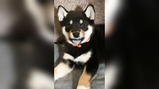 Jessicanigri (Jessica Nigri) OnlyFans Leaks jessica.jska Sexy Whore 5