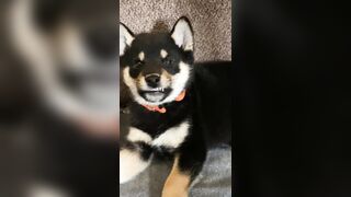 Jessicanigri (Jessica Nigri) OnlyFans Leaks jessica.jska Sexy Whore 5