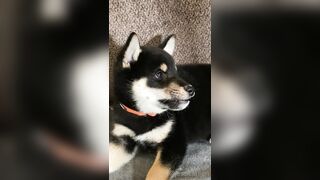 Jessicanigri (Jessica Nigri) OnlyFans Leaks jessica.jska Sexy Whore 5