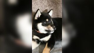 Jessicanigri (Jessica Nigri) OnlyFans Leaks jessica.jska Sexy Whore 5