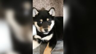 Jessicanigri (Jessica Nigri) OnlyFans Leaks jessica.jska Sexy Whore 5