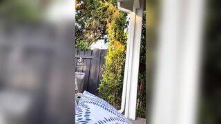 Malutrevejovip (Malu Trevejo) OnlyFans Leaks malutrevejo18 Miami Fun Papi 392