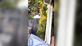 Malutrevejovip (Malu Trevejo) OnlyFans Leaks malutrevejo18 Miami Fun Papi 392