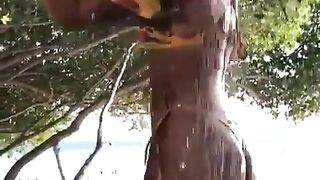 Malutrevejovip (Malu Trevejo) OnlyFans Leaks malutrevejo18 Miami Fun Papi 511