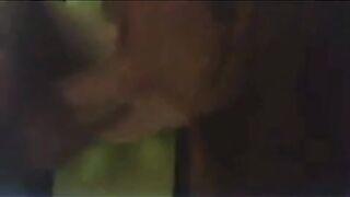 Healtech Amateur Asian Chinese Leaked Porn Video 17