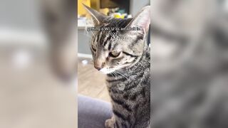 Hannahowo (hannah) Onlyfans Fans Leaks 19 yo Content Creator  46