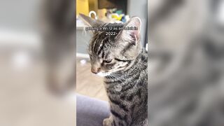 Hannahowo (hannah) Onlyfans Fans Leaks 19 yo Content Creator  46