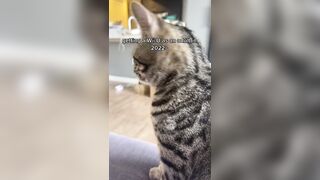 Hannahowo (hannah) Onlyfans Fans Leaks 19 yo Content Creator  46