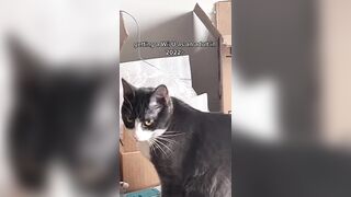 Hannahowo (hannah) Onlyfans Fans Leaks 19 yo Content Creator  46