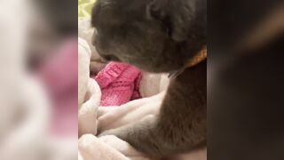 Hannahowo (hannah) Onlyfans Fans Leaks 19 yo Content Creator  51