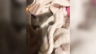 Hannahowo (hannah) Onlyfans Fans Leaks 19 yo Content Creator  51