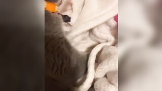 Hannahowo (hannah) Onlyfans Fans Leaks 19 yo Content Creator  51