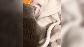 Hannahowo (hannah) Onlyfans Fans Leaks 19 yo Content Creator  51