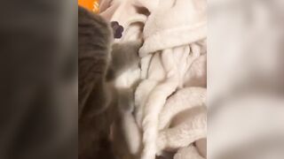 Hannahowo (hannah) Onlyfans Fans Leaks 19 yo Content Creator  51