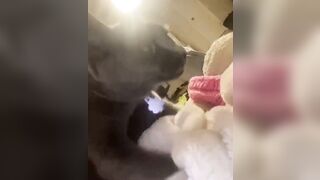 Hannahowo (hannah) Onlyfans Fans Leaks 19 yo Content Creator  51