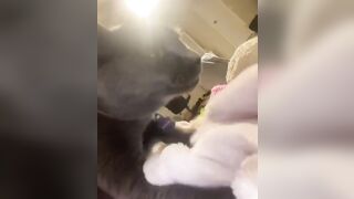 Hannahowo (hannah) Onlyfans Fans Leaks 19 yo Content Creator  51