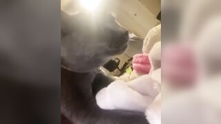 Hannahowo (hannah) Onlyfans Fans Leaks 19 yo Content Creator  51