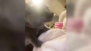 Hannahowo (hannah) Onlyfans Fans Leaks 19 yo Content Creator  51