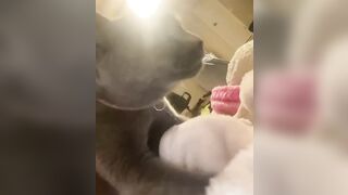 Hannahowo (hannah) Onlyfans Fans Leaks 19 yo Content Creator  51