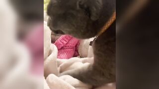 Hannahowo (hannah) Onlyfans Fans Leaks 19 yo Content Creator  51