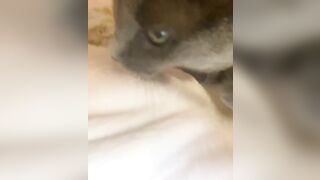 Hannahowo (hannah) Onlyfans Fans Leaks 19 yo Content Creator  51