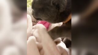 Hannahowo (hannah) Onlyfans Fans Leaks 19 yo Content Creator  51