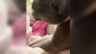 Hannahowo (hannah) Onlyfans Fans Leaks 19 yo Content Creator  51