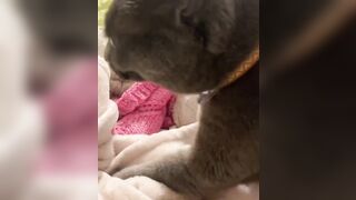 Hannahowo (hannah) Onlyfans Fans Leaks 19 yo Content Creator  51