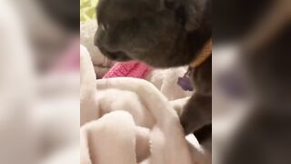 Hannahowo (hannah) Onlyfans Fans Leaks 19 yo Content Creator  51