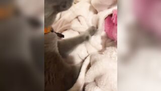 Hannahowo (hannah) Onlyfans Fans Leaks 19 yo Content Creator  51