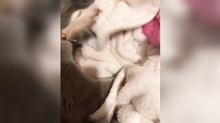 Hannahowo (hannah) Onlyfans Fans Leaks 19 yo Content Creator  51