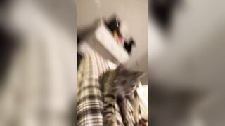 Hannahowo (hannah) Onlyfans Fans Leaks 19 yo Content Creator  58