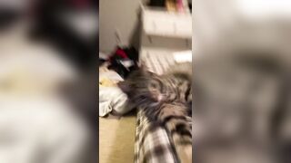 Hannahowo (hannah) Onlyfans Fans Leaks 19 yo Content Creator  58