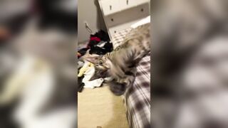 Hannahowo (hannah) Onlyfans Fans Leaks 19 yo Content Creator  58