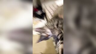 Hannahowo (hannah) Onlyfans Fans Leaks 19 yo Content Creator  58