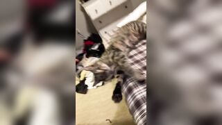 Hannahowo (hannah) Onlyfans Fans Leaks 19 yo Content Creator  58