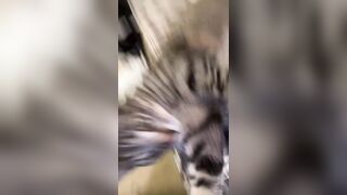 Hannahowo (hannah) Onlyfans Fans Leaks 19 yo Content Creator  58