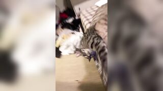 Hannahowo (hannah) Onlyfans Fans Leaks 19 yo Content Creator  58